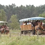 Naturidylle Mit Kamin Und Sauna In Der