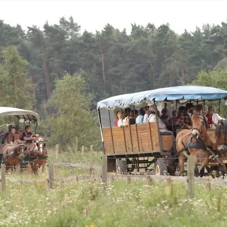 Naturidylle Mit Kamin Und Sauna In Der