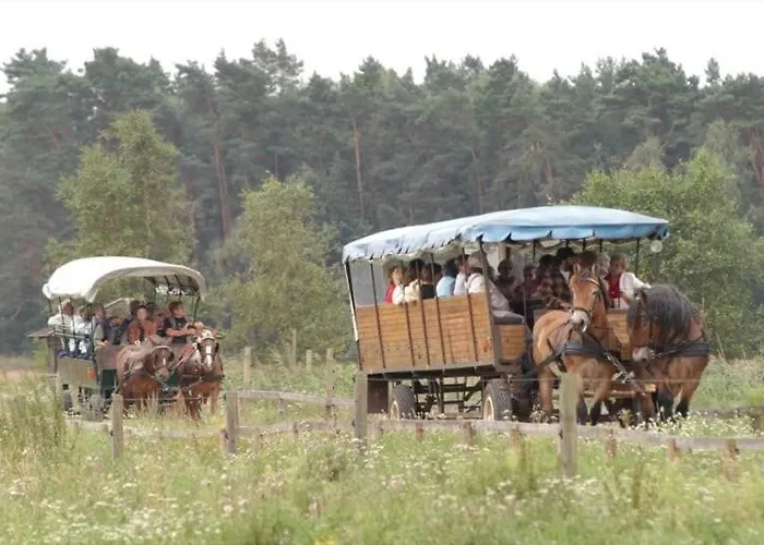 Naturidylle Mit Kamin Und Sauna In Der